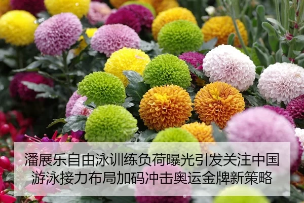pan-zhan-le-zi-you-yong-xun-lian-fu-he-bao-guang-yin-fa-guan-zhu-zhong-guo-you-yong-jie-li-bu-ju-jia-ma-chong-ji-ao-yun-1-106.jpg