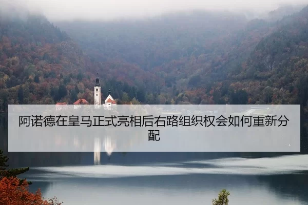 阿诺德在皇马正式亮相后右路组织权会如何重新分配